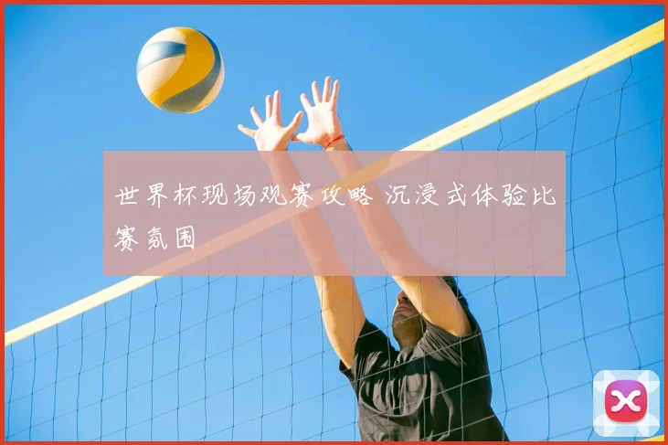 世界杯现场观赛攻略 沉浸式体验比赛氛围