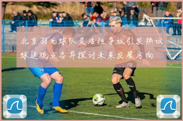 北京羽毛球队灵活性争议引发热议球迷观点各异探讨未来发展方向