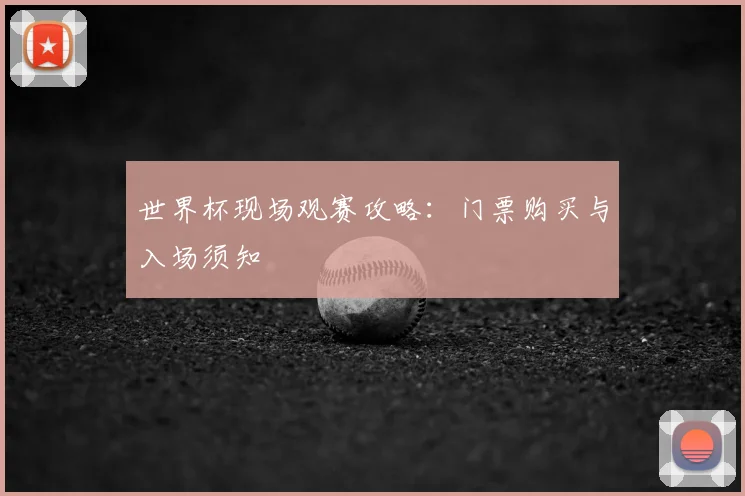 世界杯现场观赛攻略：门票购买与入场须知