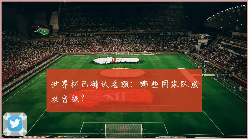 世界杯已确认名额：哪些国家队成功晋级？