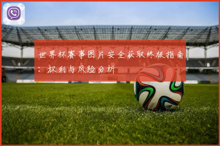 世界杯赛事图片安全获取终极指南:权利与风险分析