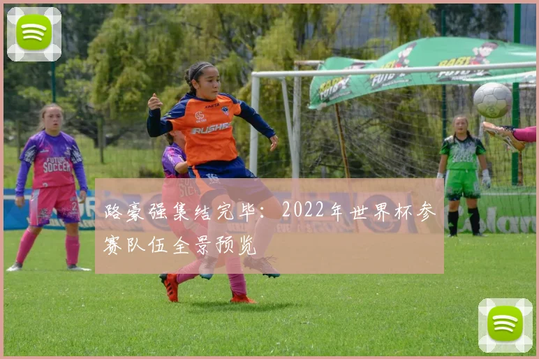 路豪强集结完毕：2022年世界杯参赛队伍全景预览