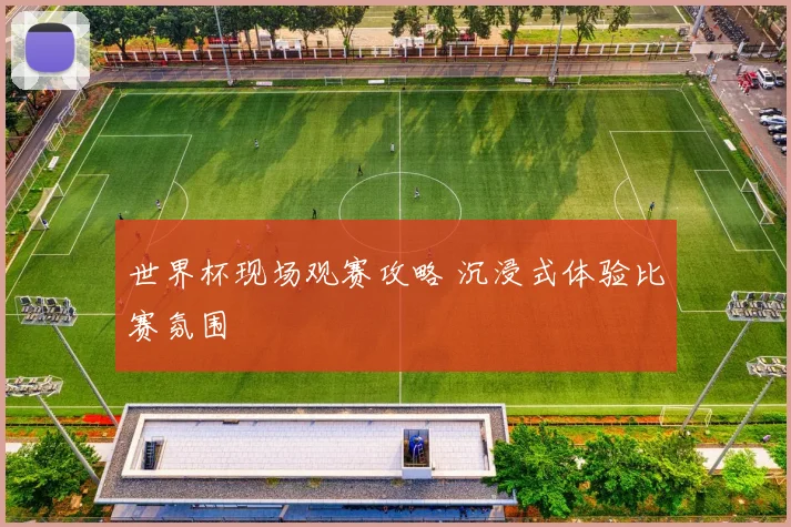 世界杯现场观赛攻略 沉浸式体验比赛氛围