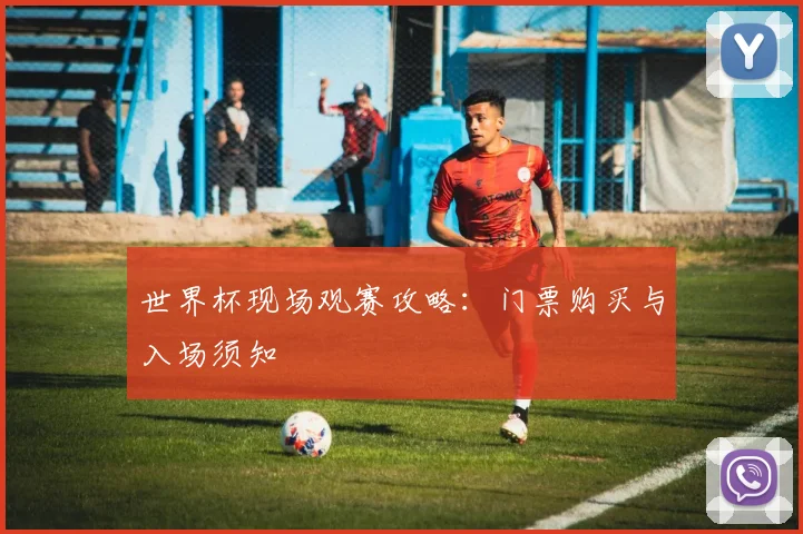 世界杯现场观赛攻略：门票购买与入场须知