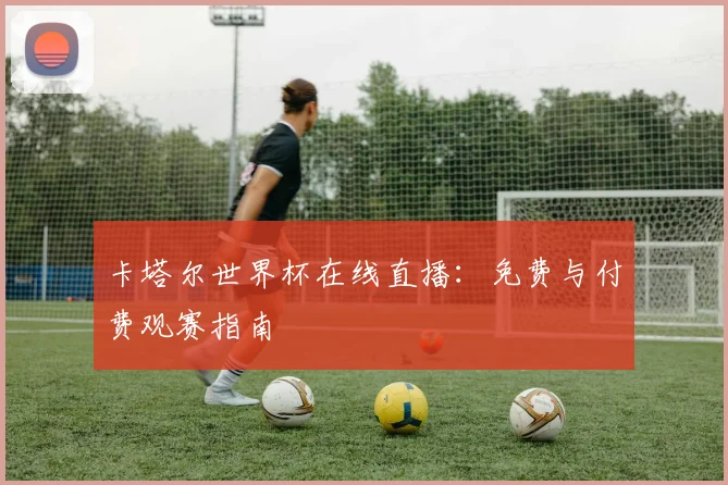 卡塔尔世界杯在线直播：免费与付费观赛指南